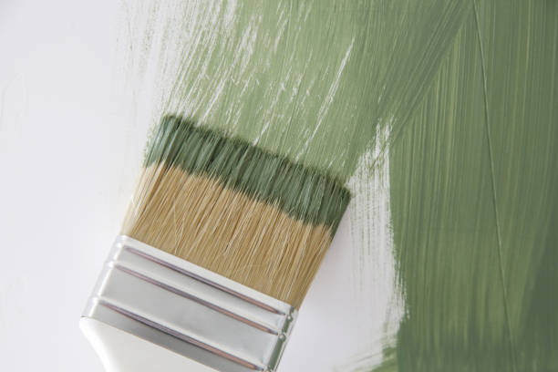 Best Emergency Mold Remediation  in South Paris, ME