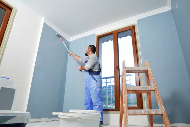 Professional Mold Removal in South Paris, ME