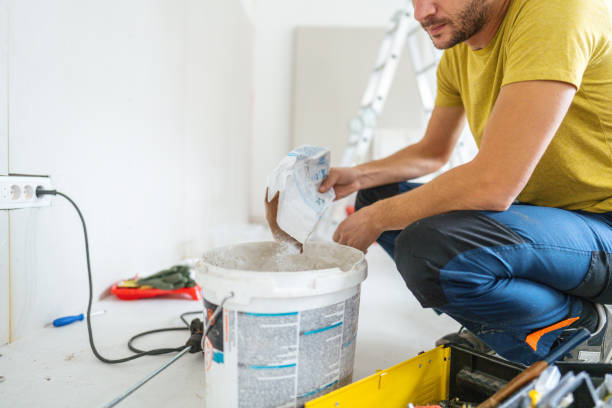 Best Attic Mold Removal  in South Paris, ME