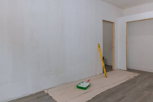 Best Crawl Space Mold Remediation  in South Paris, ME