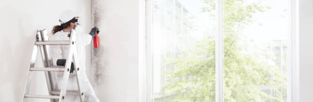 Best Dehumidification Services  in South Paris, ME
